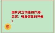 图片灵芝功能和作用(灵芝：强身健体的神器)