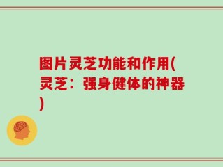 图片灵芝功能和作用(灵芝：强身健体的神器)