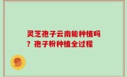 灵芝孢子云南能种植吗？孢子粉种植全过程