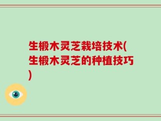 生椴木灵芝栽培技术(生椴木灵芝的种植技巧)