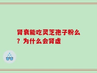 肾衰能吃灵芝孢子粉么？为什么会肾虚