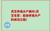 灵芝养殖大户图片(灵芝生意：超级养殖大户的成功之路)