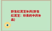 野生红灵芝补药(野生红灵芝：珍贵的中药补品)