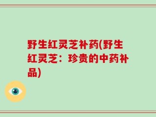 野生红灵芝补药(野生红灵芝：珍贵的中药补品)