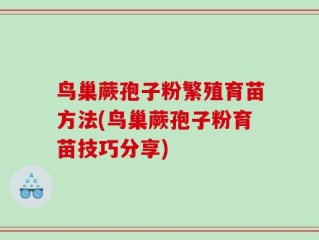 鸟巢蕨孢子粉繁殖育苗方法(鸟巢蕨孢子粉育苗技巧分享)