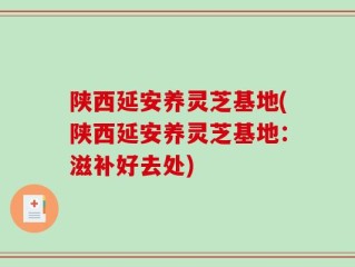 陕西延安养灵芝基地(陕西延安养灵芝基地：滋补好去处)