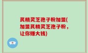 芪精灵芝孢子粉加盟(加盟芪精灵芝孢子粉，让你赚大钱)