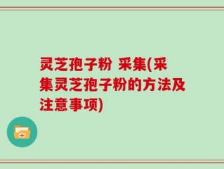 灵芝孢子粉 采集(采集灵芝孢子粉的方法及注意事项)