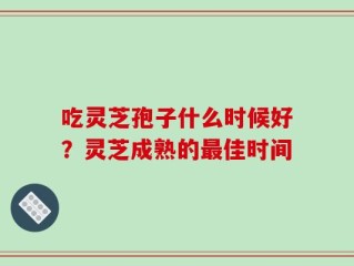 吃灵芝孢子什么时候好？灵芝成熟的最佳时间