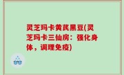 灵芝玛卡黄芪黑豆(灵芝玛卡三仙房：强化身体，调理免疫)