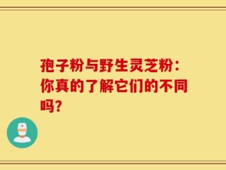孢子粉与野生灵芝粉：你真的了解它们的不同吗？