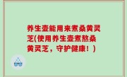 养生壶能用来煮桑黄灵芝(使用养生壶煮熬桑黄灵芝，守护健康！)