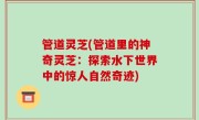 管道灵芝(管道里的神奇灵芝：探索水下世界中的惊人自然奇迹)