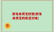 野生赤灵芝好苦(野生赤灵芝的苦涩之味)