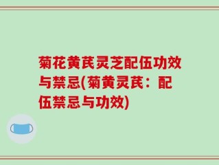 菊花黄芪灵芝配伍功效与禁忌(菊黄灵芪：配伍禁忌与功效)