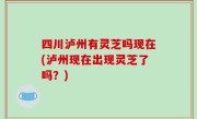 四川泸州有灵芝吗现在(泸州现在出现灵芝了吗？)
