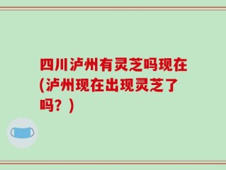 四川泸州有灵芝吗现在(泸州现在出现灵芝了吗？)