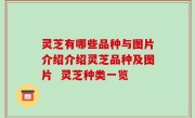 灵芝有哪些品种与图片介绍介绍灵芝品种及图片  灵芝种类一览
