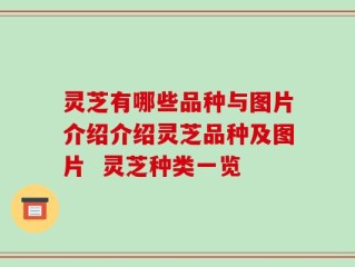 灵芝有哪些品种与图片介绍介绍灵芝品种及图片  灵芝种类一览