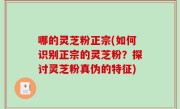 哪的灵芝粉正宗(如何识别正宗的灵芝粉？探讨灵芝粉真伪的特征)