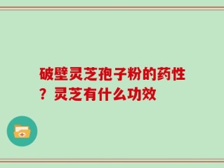 破壁灵芝孢子粉的药性？灵芝有什么功效