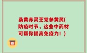 桑黄赤灵芝党参黄芪(防疫时节，这些中药材可帮你提高免疫力！)