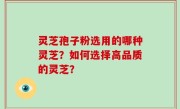 灵芝孢子粉选用的哪种灵芝？如何选择高品质的灵芝？