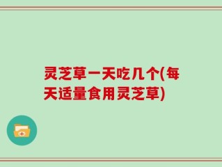 灵芝草一天吃几个(每天适量食用灵芝草)