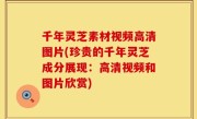 千年灵芝素材视频高清图片(珍贵的千年灵芝成分展现：高清视频和图片欣赏)