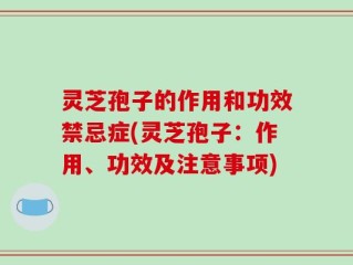 灵芝孢子的作用和功效禁忌症(灵芝孢子：作用、功效及注意事项)