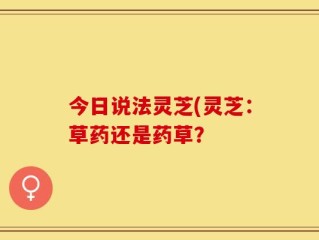 今日说法灵芝(灵芝：草药还是药草？
