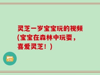 灵芝一岁宝宝玩的视频(宝宝在森林中玩耍，喜爱灵芝！)