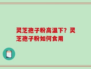 灵芝孢子粉高温下？灵芝孢子粉如何食用