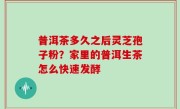 普洱茶多久之后灵芝孢子粉？家里的普洱生茶怎么快速发酵