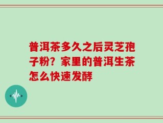 普洱茶多久之后灵芝孢子粉？家里的普洱生茶怎么快速发酵