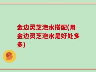 金边灵芝泡水搭配(用金边灵芝泡水是好处多多)
