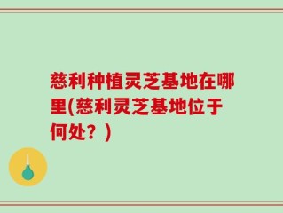 慈利种植灵芝基地在哪里(慈利灵芝基地位于何处？)