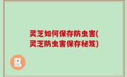 灵芝如何保存防虫害(灵芝防虫害保存秘笈)