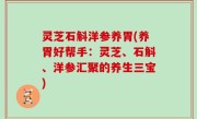 灵芝石斛洋参养胃(养胃好帮手：灵芝、石斛、洋参汇聚的养生三宝)