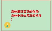 森林里野灵芝的作用(森林中野生灵芝的效用)