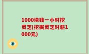1000块钱一小时挖灵芝(挖掘灵芝时薪1000元)