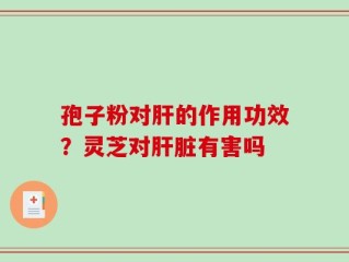 孢子粉对肝的作用功效？灵芝对肝脏有害吗
