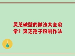 灵芝破壁的做法大全家常？灵芝孢子粉制作法