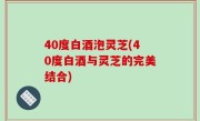 40度白酒泡灵芝(40度白酒与灵芝的完美结合)