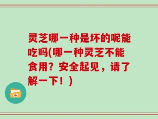 灵芝哪一种是坏的呢能吃吗(哪一种灵芝不能食用？安全起见，请了解一下！)