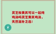 灵芝和黄芪可以一起炖鸡汤吗灵芝黄芪鸡汤，天然滋补之选！