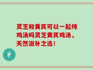 灵芝和黄芪可以一起炖鸡汤吗灵芝黄芪鸡汤，天然滋补之选！