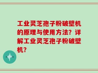 工业灵芝孢子粉破壁机的原理与使用方法？详解工业灵芝孢子粉破壁机？