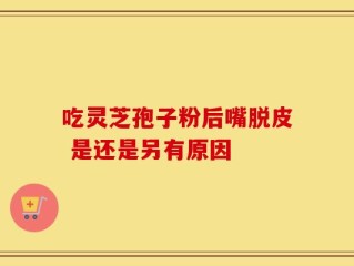 吃灵芝孢子粉后嘴脱皮 是还是另有原因