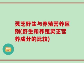 灵芝野生与养殖营养区别(野生和养殖灵芝营养成分的比较)